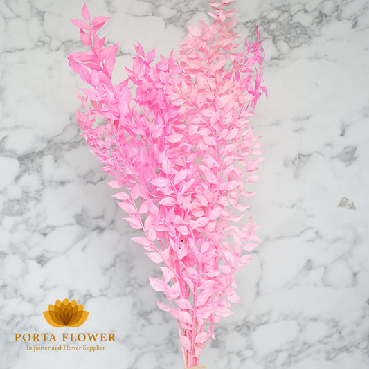 dried lucky leaves light pink