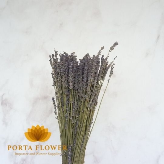 dried lavandula / dried lavender blue