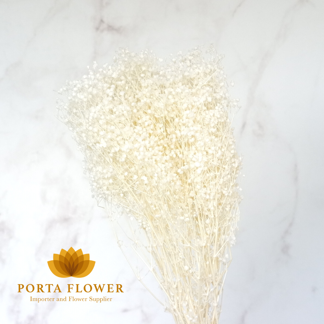 dried brooms white