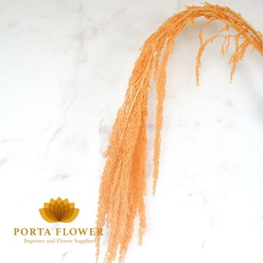 preserved amaranthus hanging soft orange