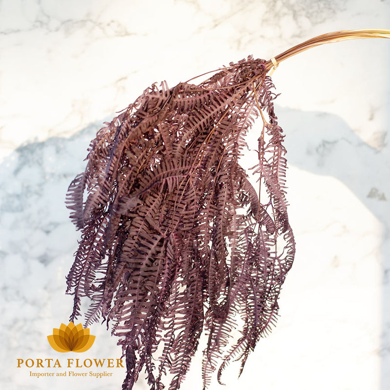 preserved fern purple