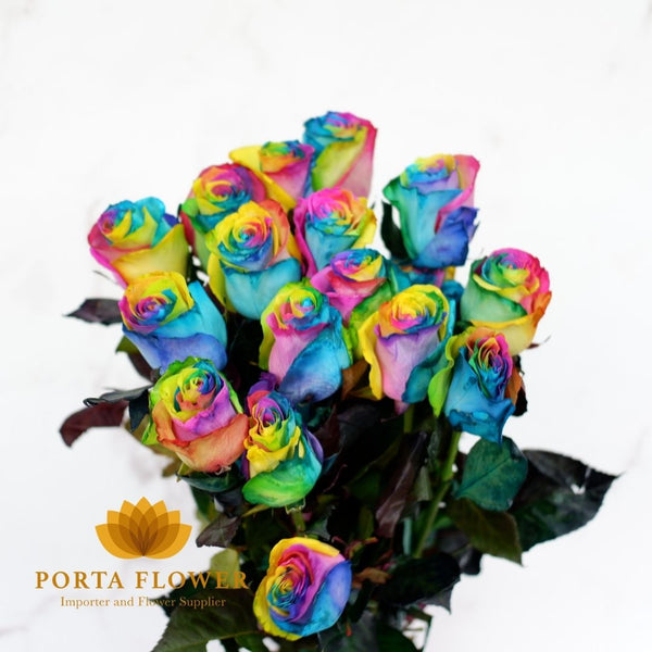 Rainbow rose