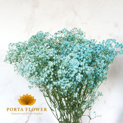 baby breath blue