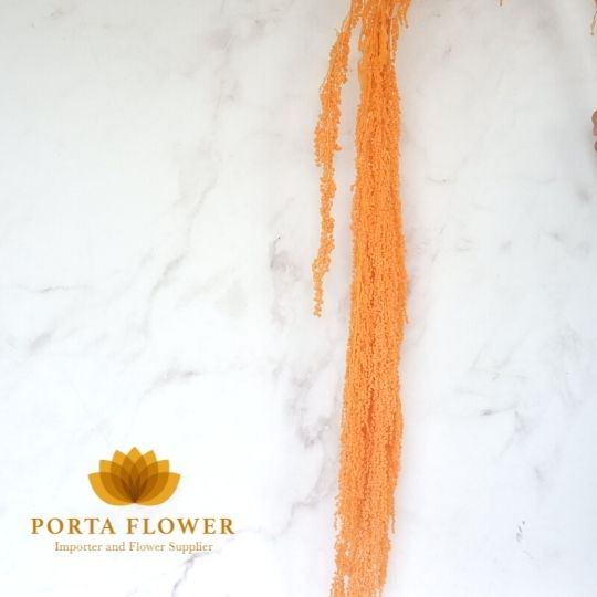 preserved amaranthus hanging orange