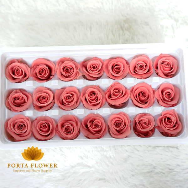 Preserved rose 2-3cm antique red