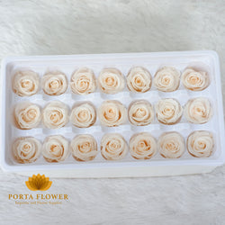 Preserved rose 2-3cm beige