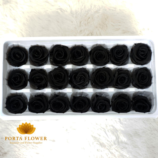 preserved rose 2-3cm black