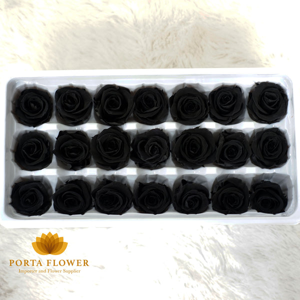 preserved rose 2-3cm black