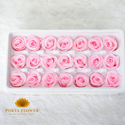 preserved rose 2-3cm bright pink