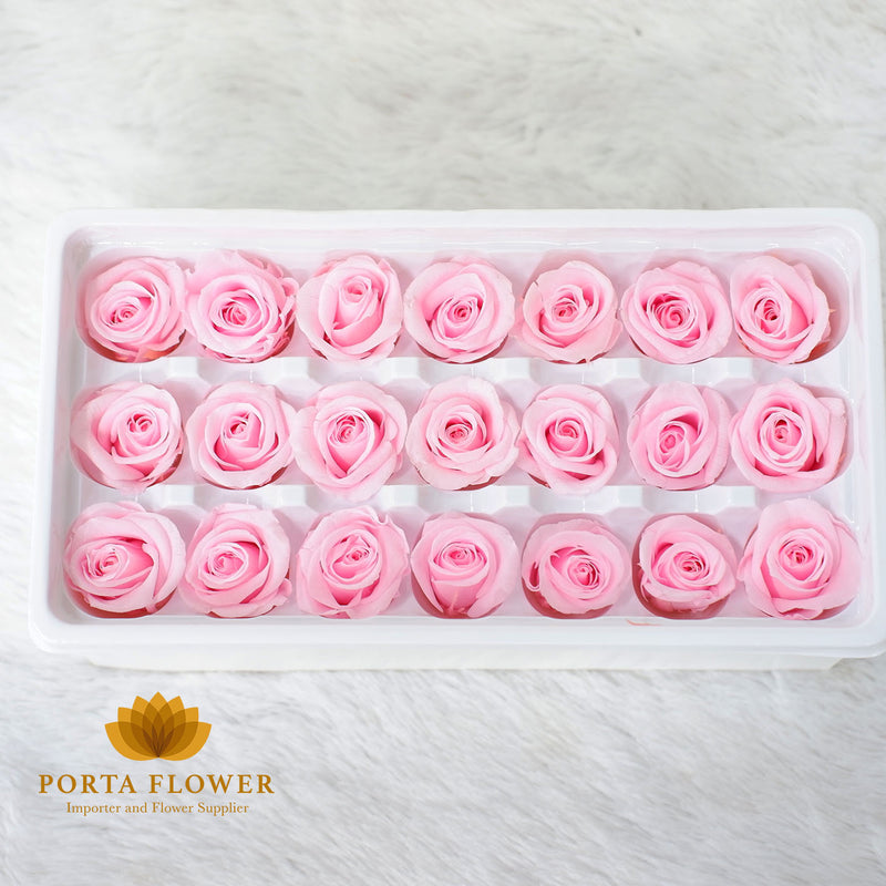 preserved rose 2-3cm bright pink