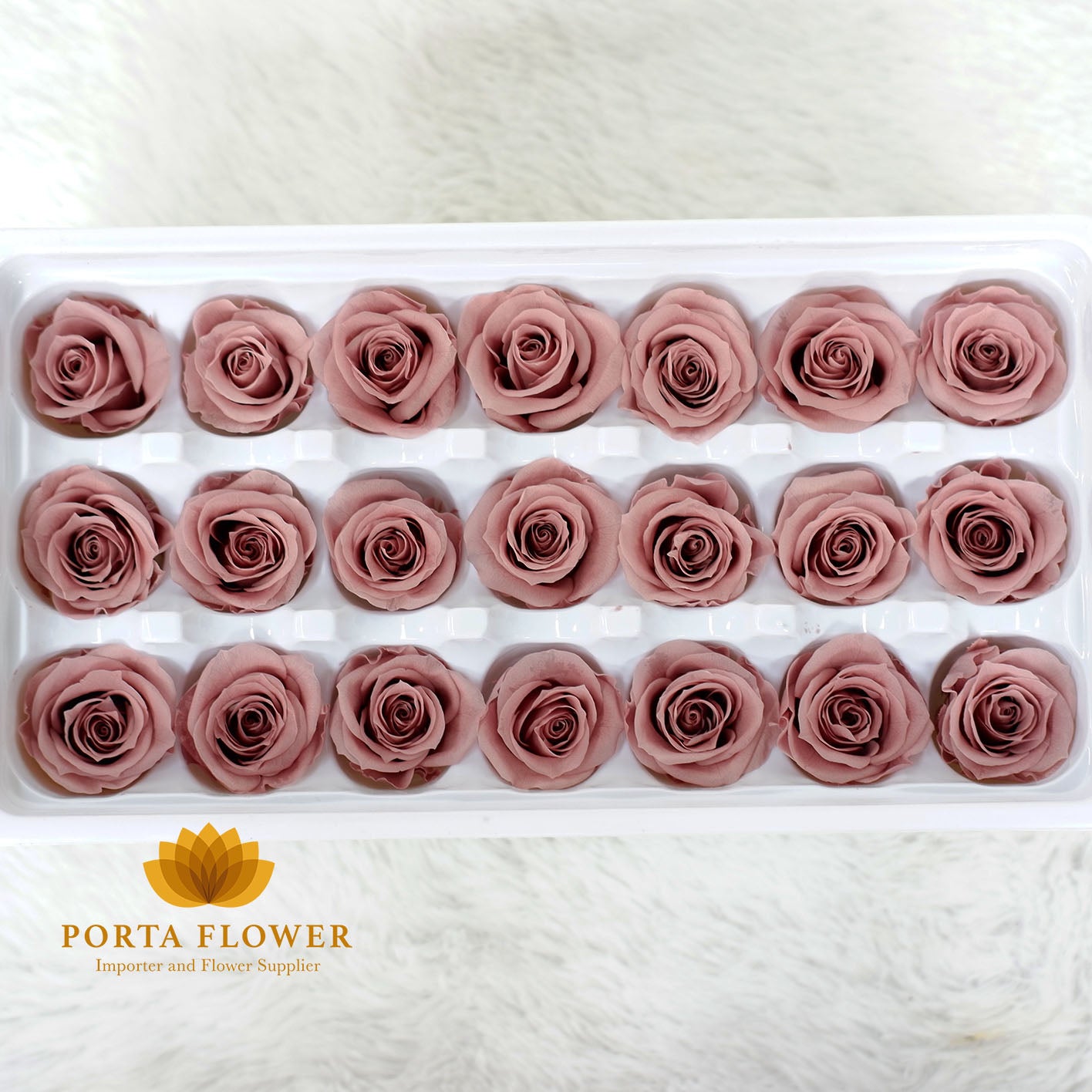 preserved rose 2-3cm caramel