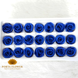 preserved rose 2-3cm dark blue