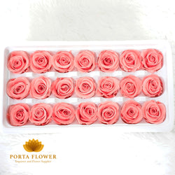 preserved rose 2-3cm dark peach