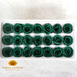 preserved rose 2-3cm deep green