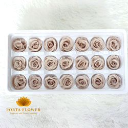 preserved rose 2-3cm khaki