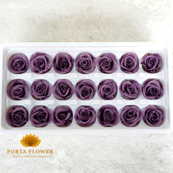 preserved rose 2-3cm lavenple