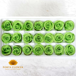 preserved rose 2-3cm olive green