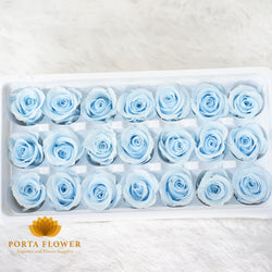 preserved rose 2-3cm pale blue