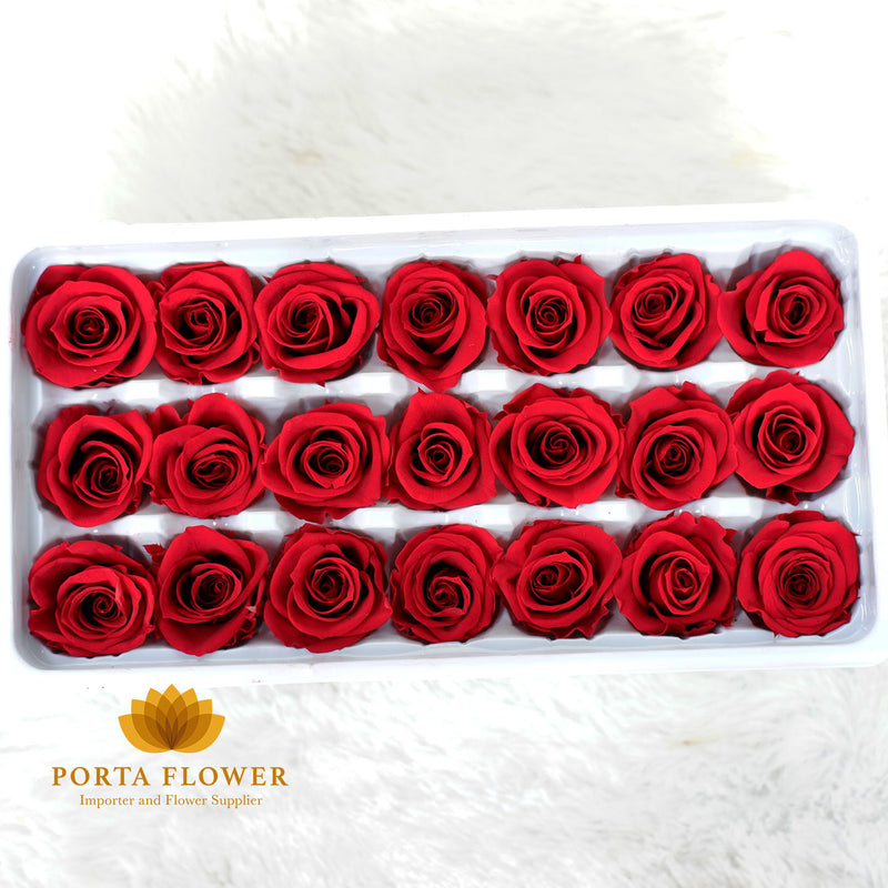 preserved rose 2-3cm red