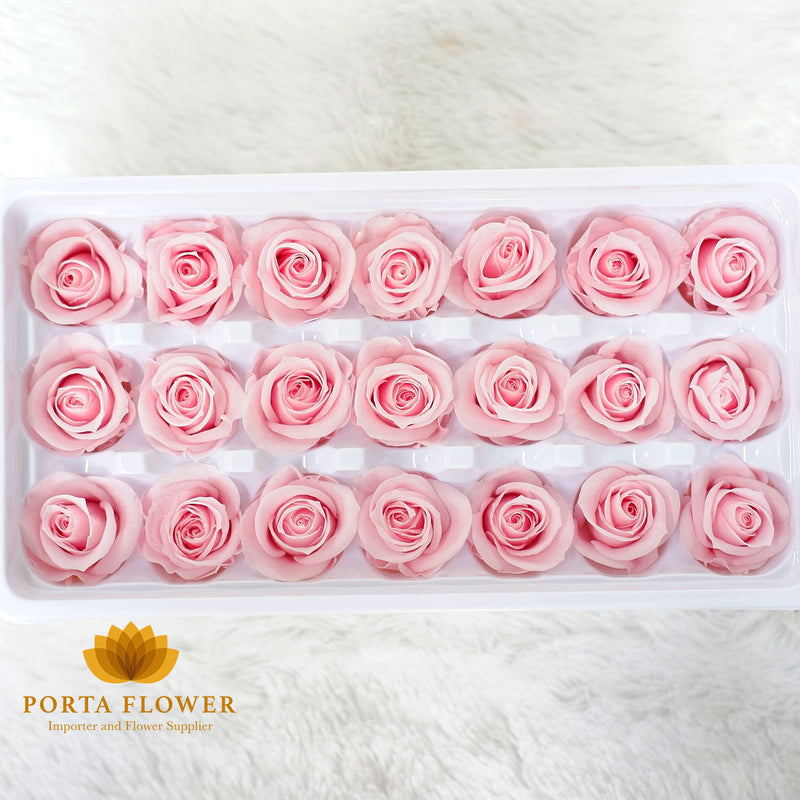 preserved rose 2-3cm sakura