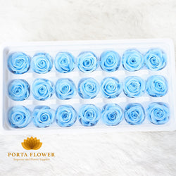 preserved rose 2-3cm sky blue