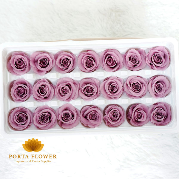 preserved rose 2-3cm taro purple