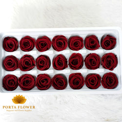 preserved rose 2-3cm wine red