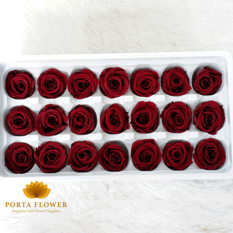 preserved rose 2-3cm wine red