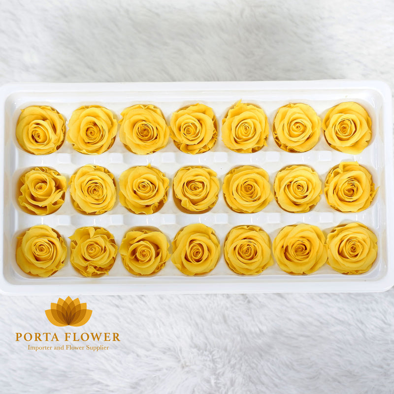 preserved rose 2-3cm yellow