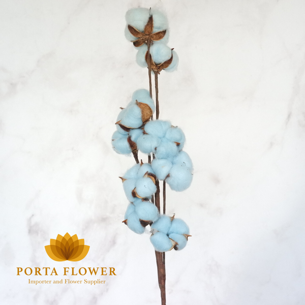 cotton flower blue