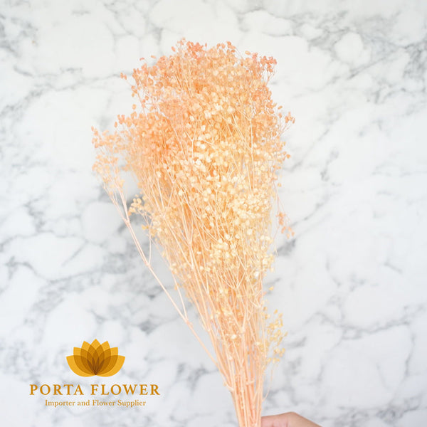 Dried brooms light pink