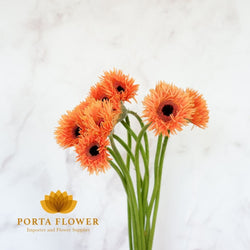 gerbera lasi orange