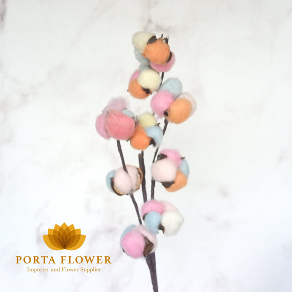 cotton flower rainbow