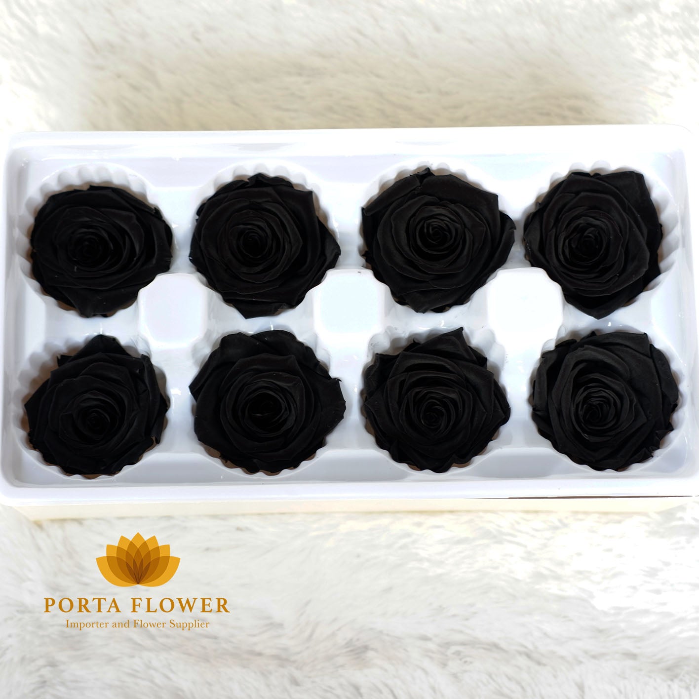 preserved rose 4-5cm black