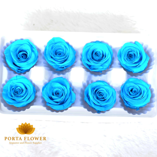 preserved rose 4-5cm blue