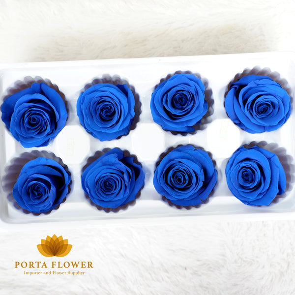 preserved rose 4-5cm dark blue