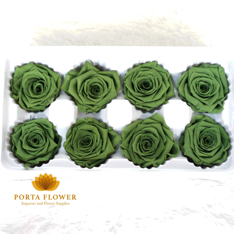 preserved rose 4-5cm deep green