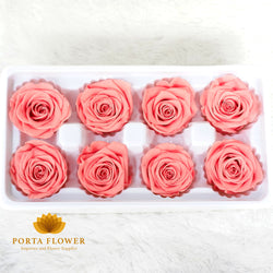 preserved rose 4-5cm deep peach