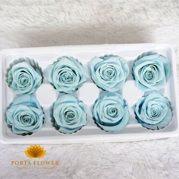 preserved rose 4-5cm dusty blue