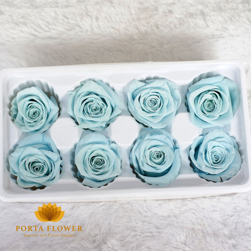 preserved rose 4-5cm dusty blue