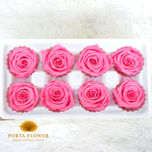 preserved rose 4-5cm hot pink