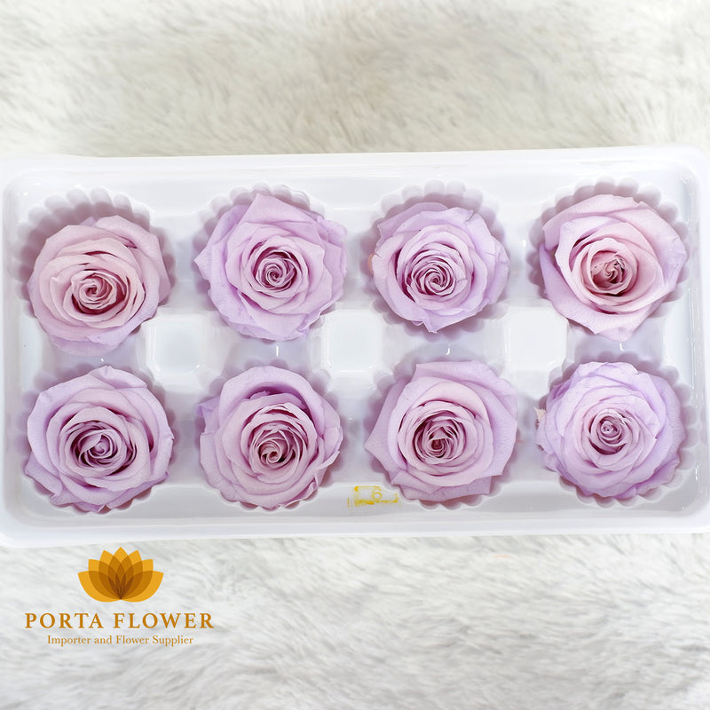 preserved rose 4-5cm light purple