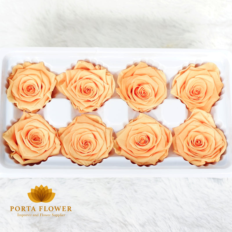 preserved rose 4-5cm orange