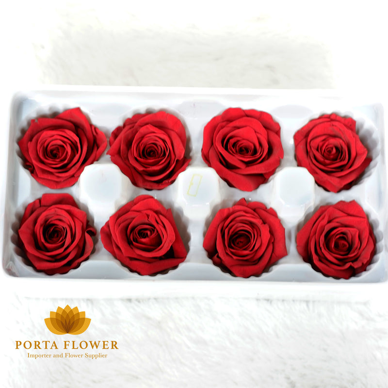 preserved rose 4-5cm red