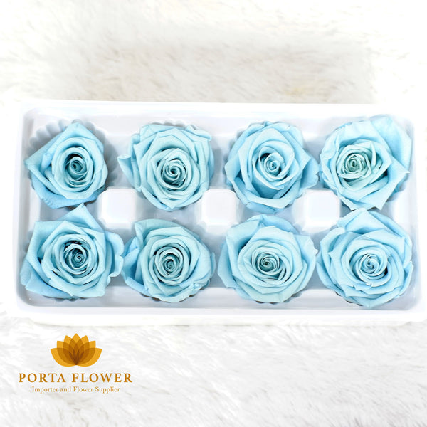 preserved rose 4-5cm sky blue