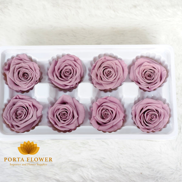 preserved rose 4-5cm taro purple