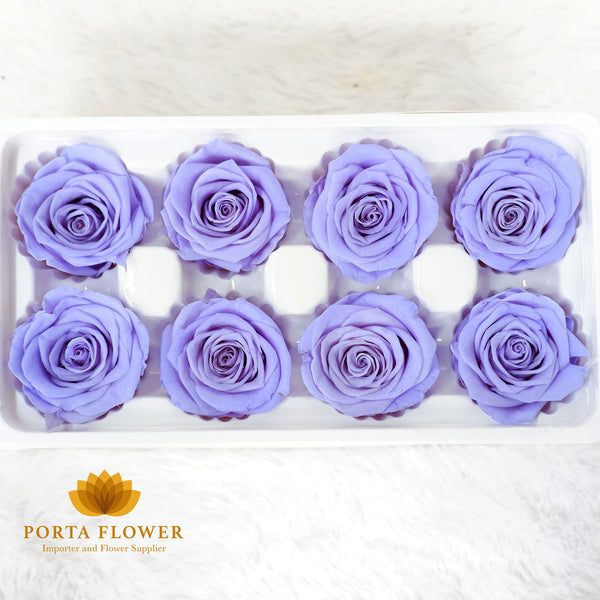 preserved rose 4-5cm violet