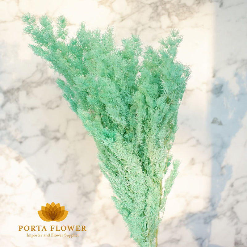 dried asparagus light green