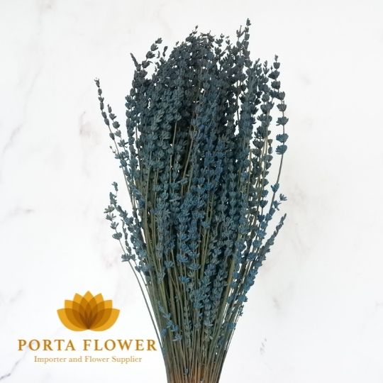 dried lavandula / dried lavender dark blue