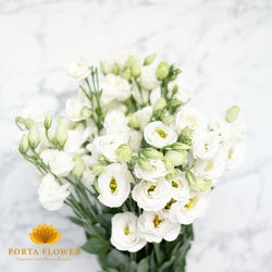 Lithianthus white / Eustoma